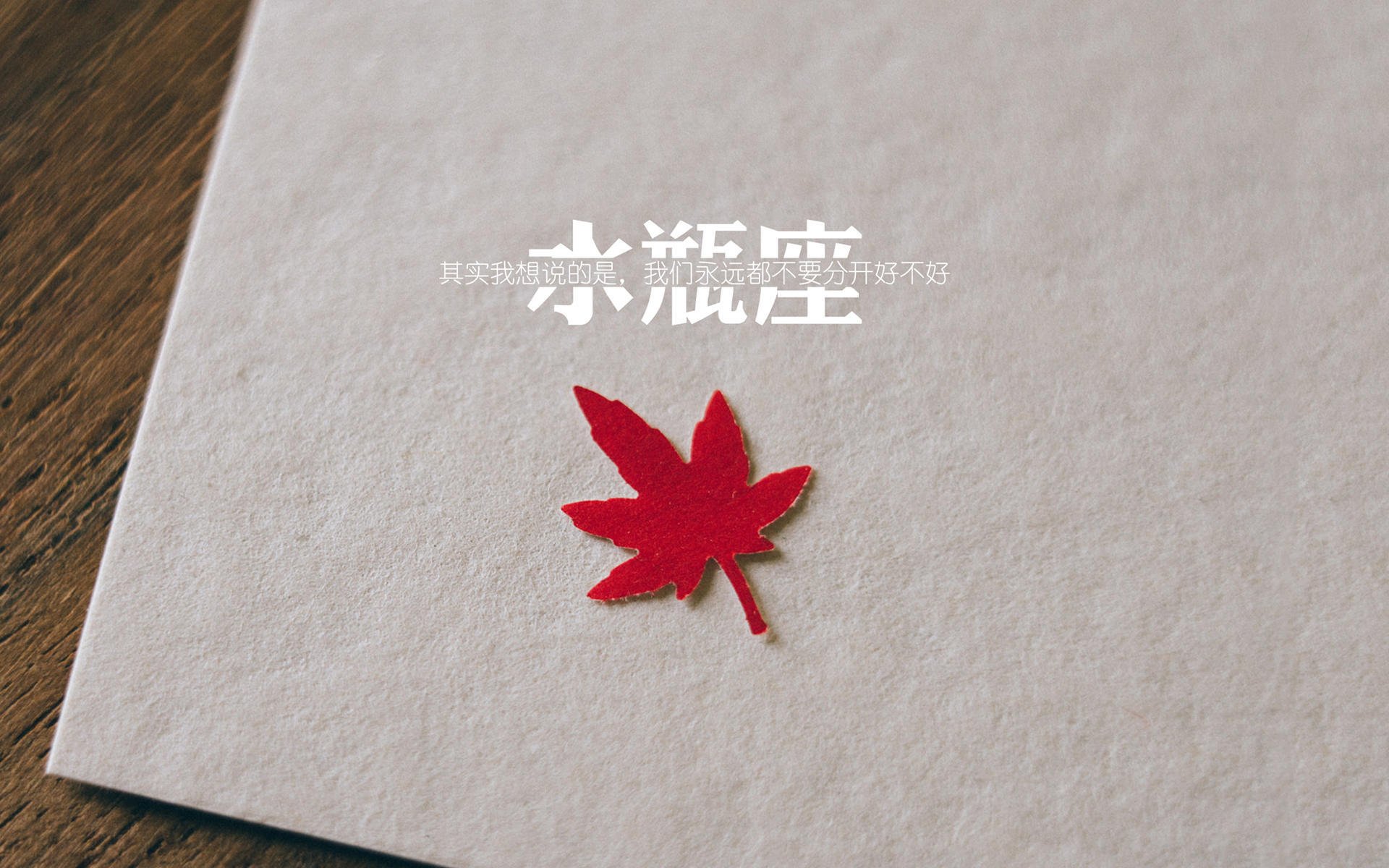 上海“青少年篮球节”助力青少年培养冠军梦想，上海市青少年篮球夏令营
