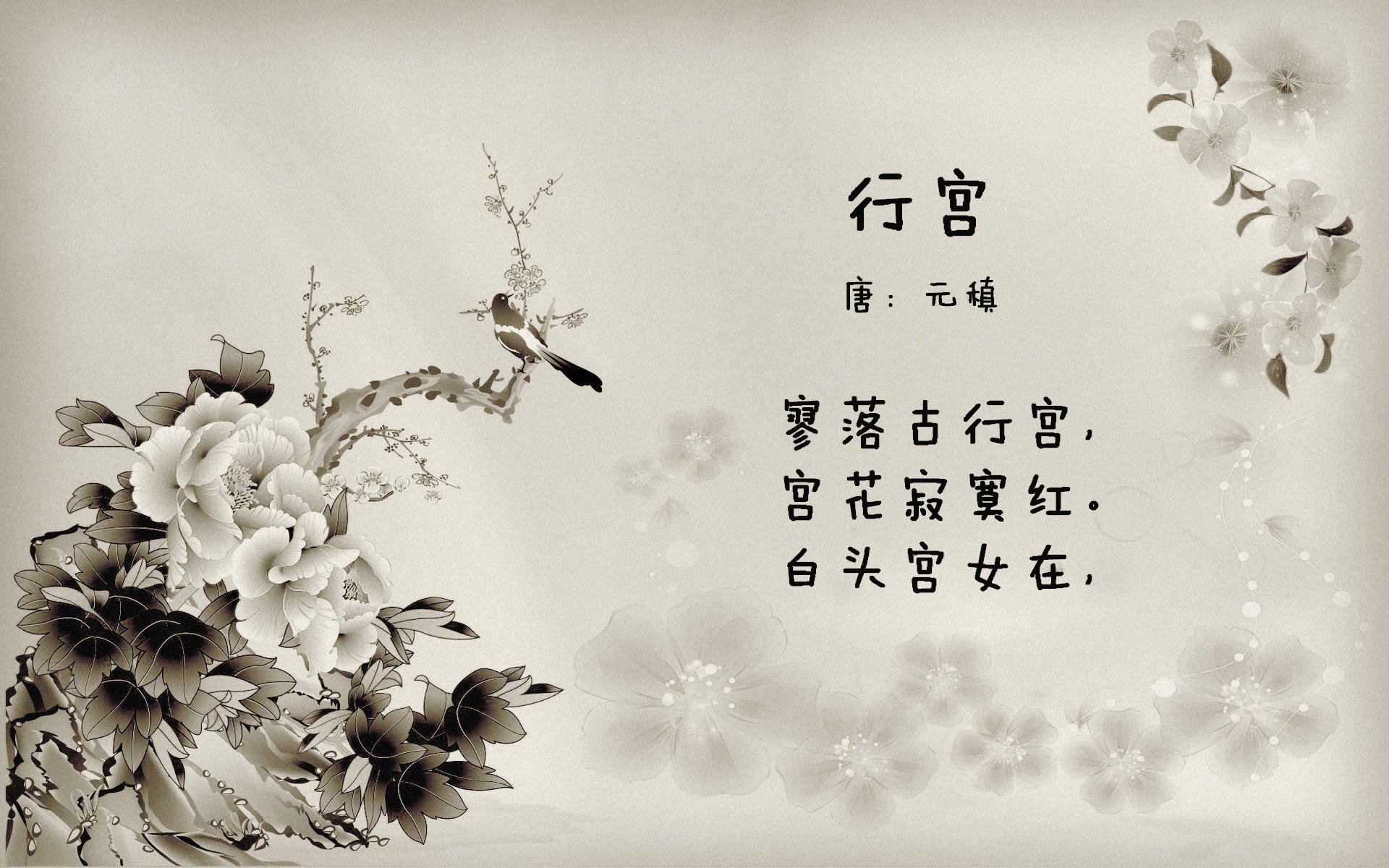 迪马利亚宣布国家队退役，结束16年征程，迪马利亚 续约