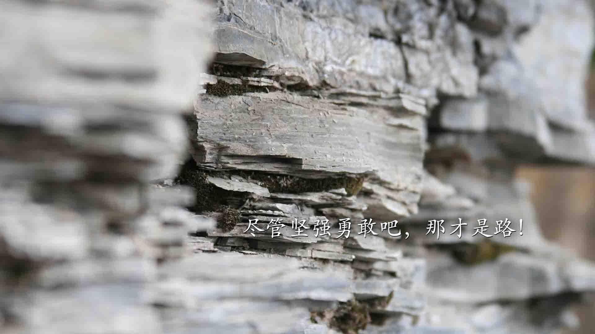 镜头聚焦：杜兰特双节砍下40+的精彩瞬间，杜兰特绝杀合集