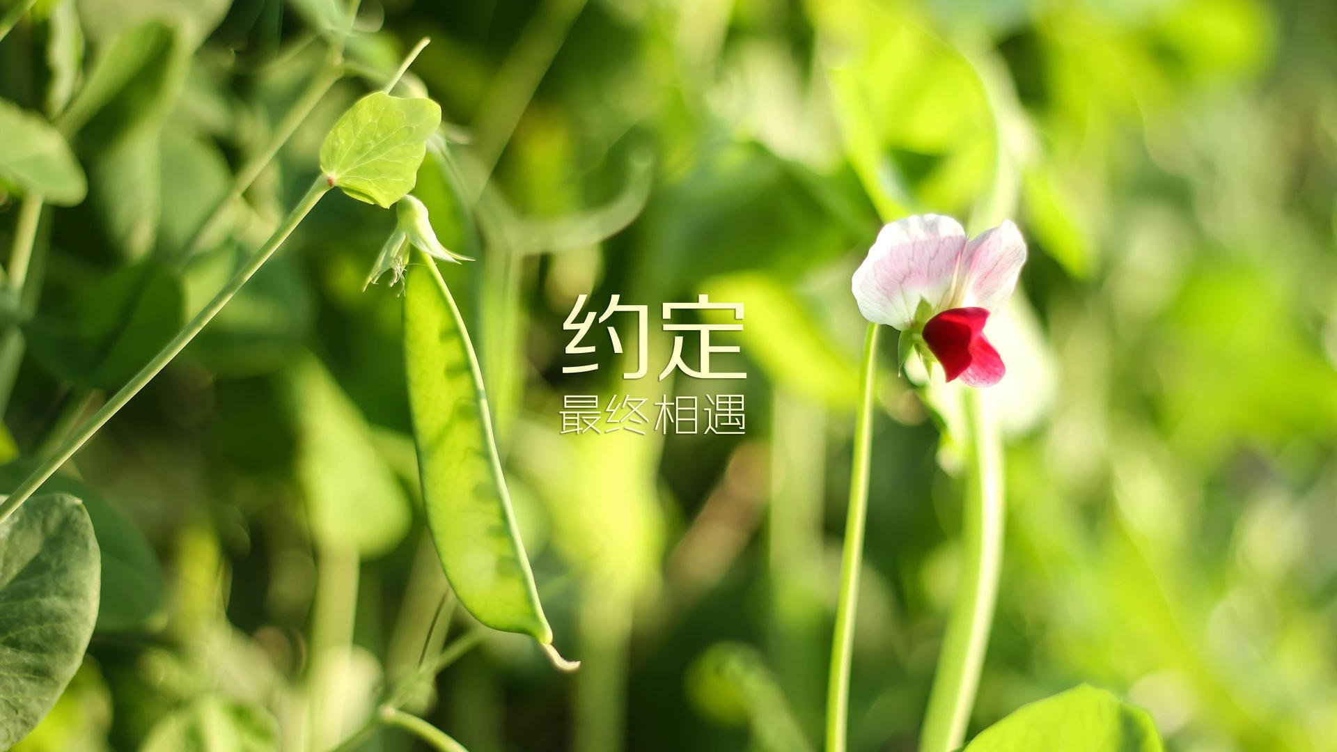 普拉提教练培训市场潜力巨大，吸引资本关注，普拉提教练培训基地