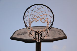 JIU YOU GAME-NBA联盟与高校篮球合作开发机制研究，大学篮球联盟叫什么