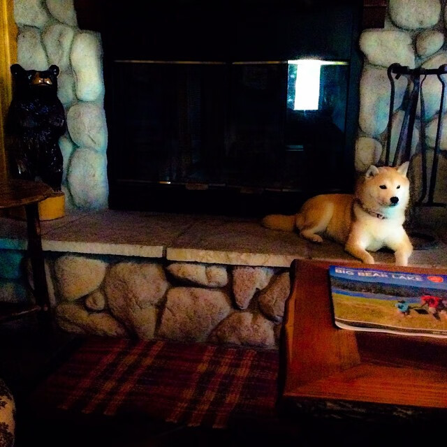 九游(jiuyou)官方网站-CBA自由市场风云再起大牌球员流动频繁，cba自由市场风云再起大牌球员流动频繁