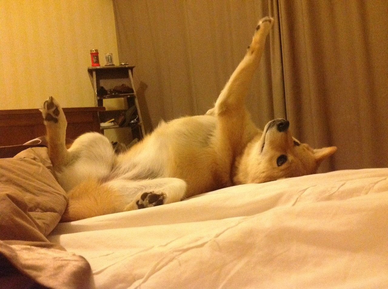 CBA自由市场风云再起大牌球员流动频繁,cba自由市场风云再起大牌球员流动频繁