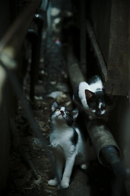 中国三人篮球男队攻守兼备 表现出色,中国三人篮球男篮