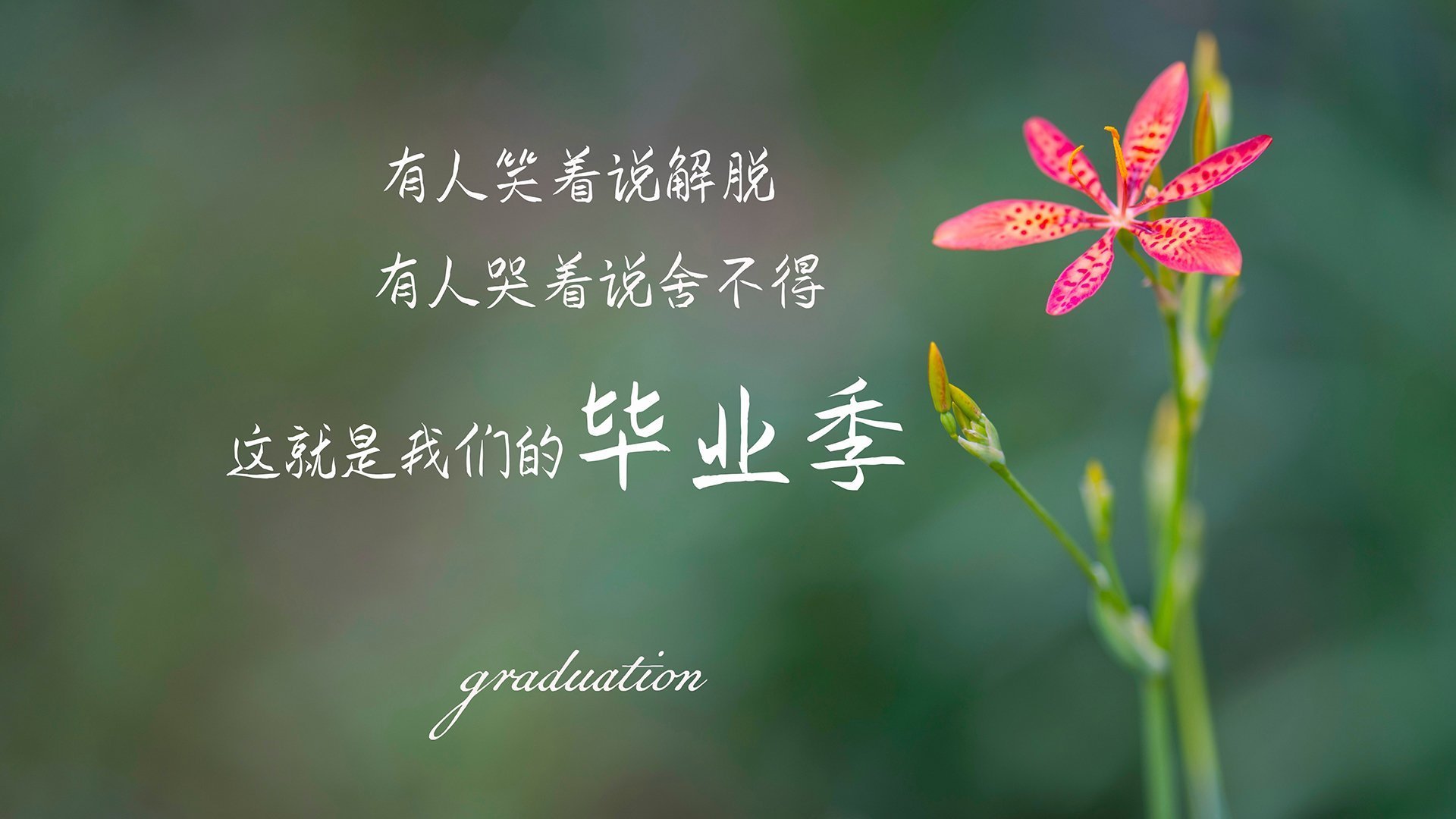 -主教练是否应根据比分差调整节奏策略，主教练挑战有什么规定