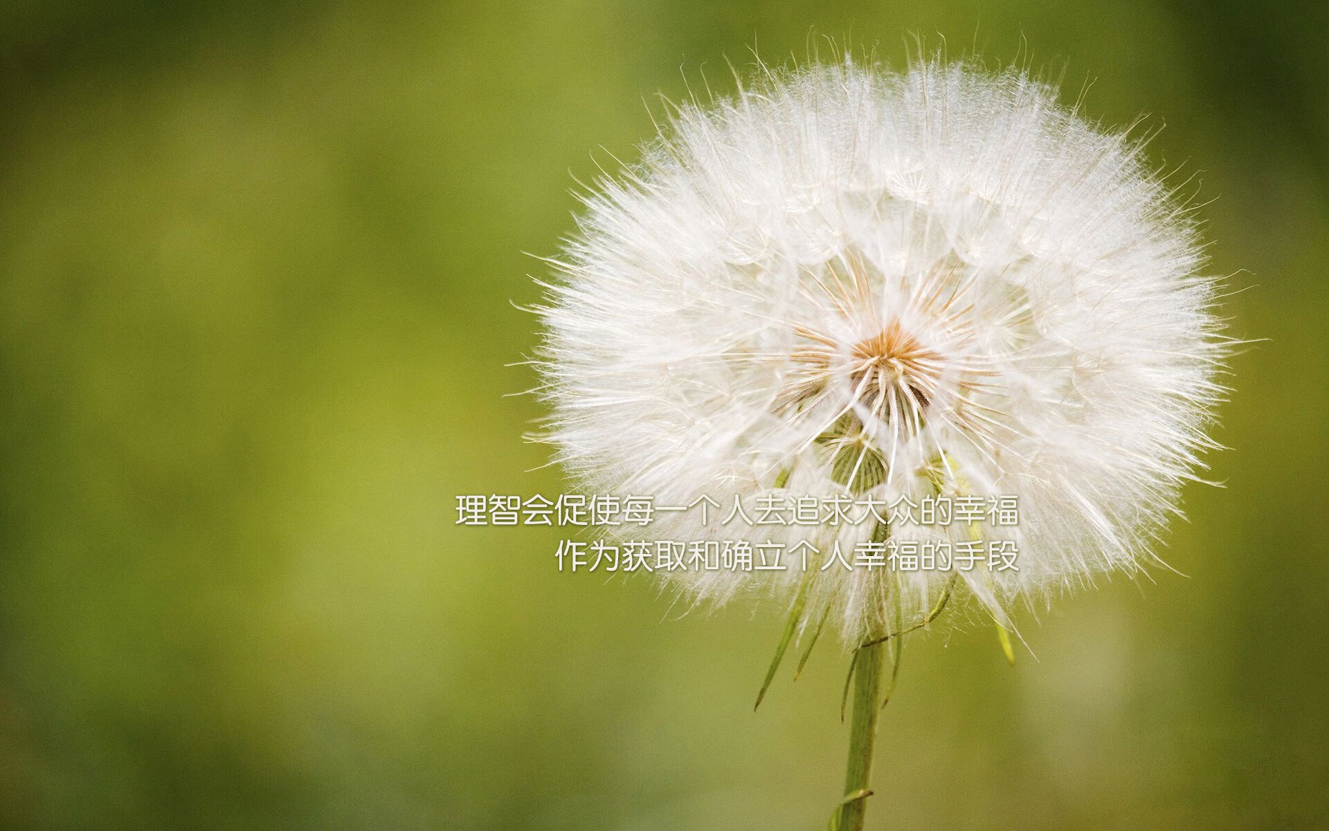 外教执教风格为何难与本土球员融合,外教员是什么