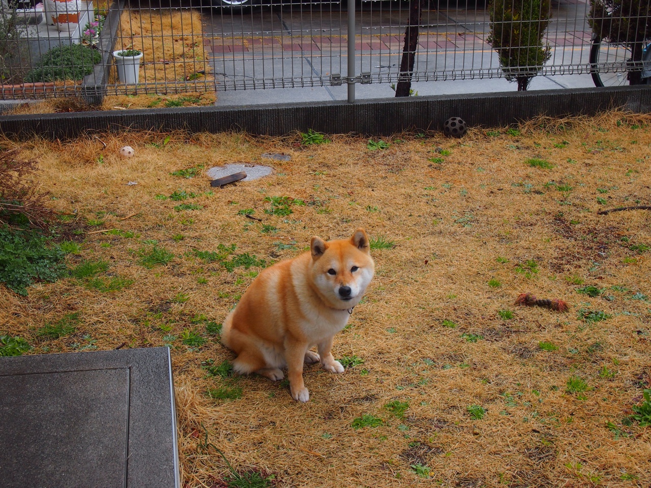 替补登场提升前场压迫活力,替补出场什么意思