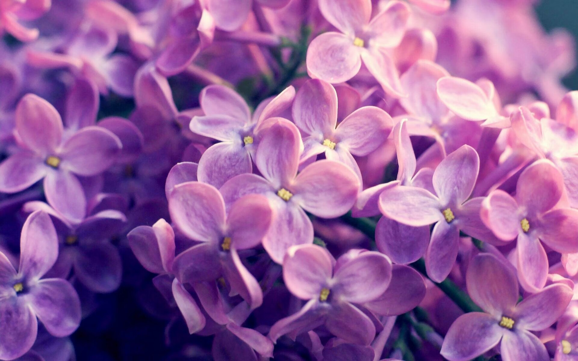 短距离女子接力继续刷新纪录,女子接力世界纪录