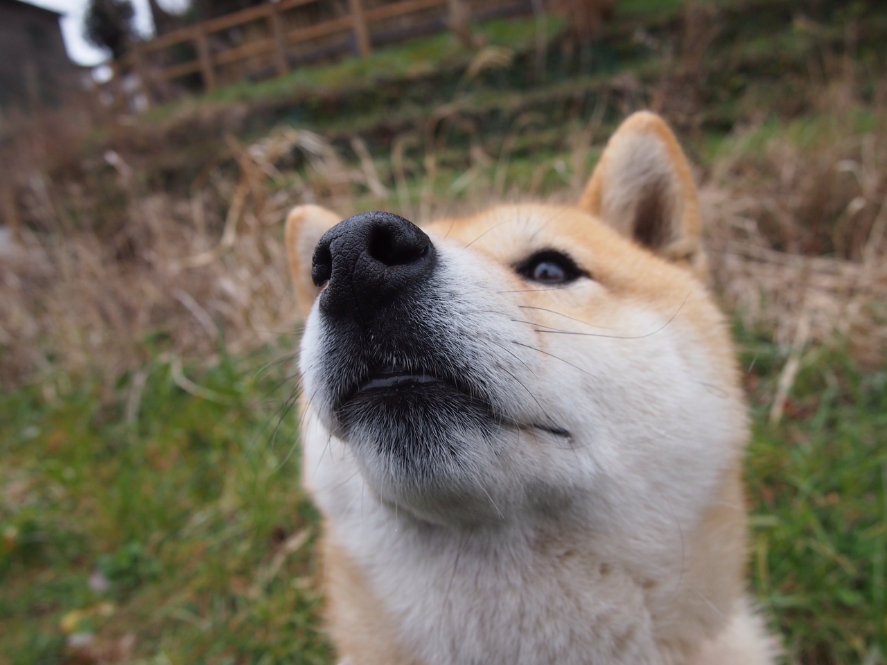 九游app下载中心-自由式滑雪空中技巧队训练引入新器械，自由式滑雪空中技巧动作名称
