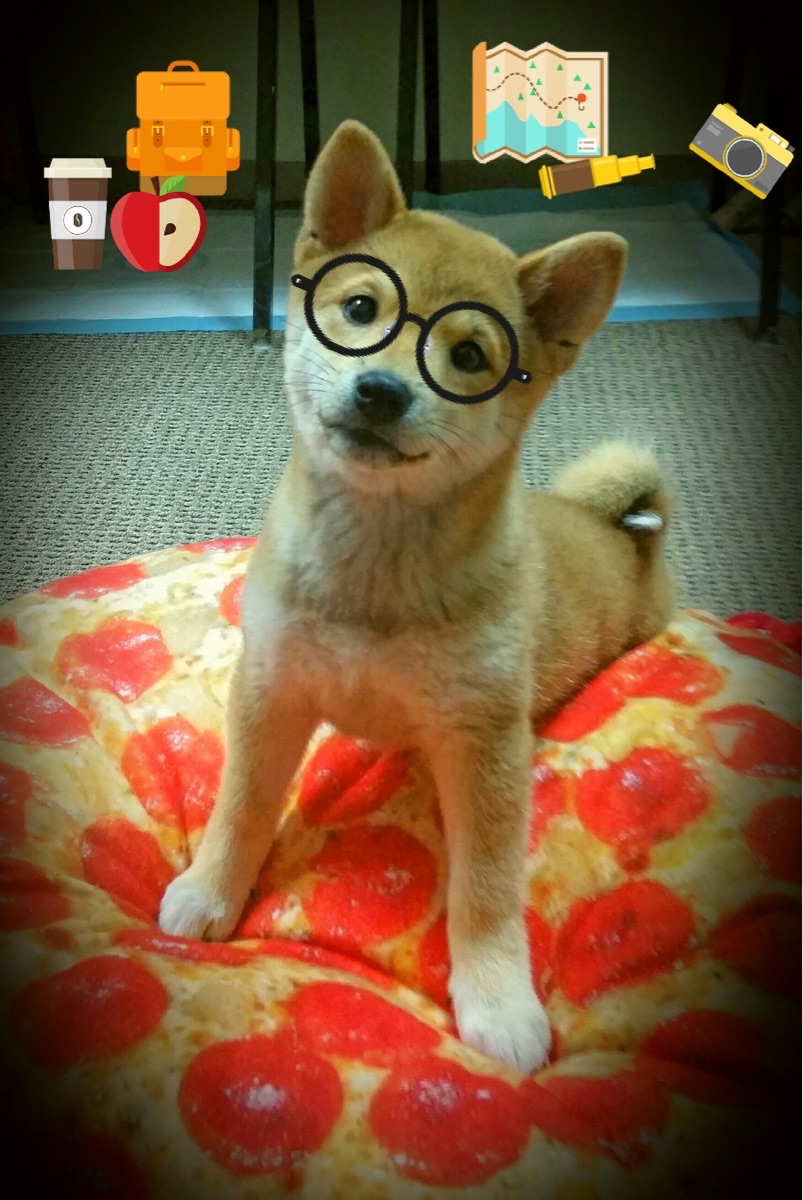 九游下载中心-转身时间数据深度对比，转身的vlog