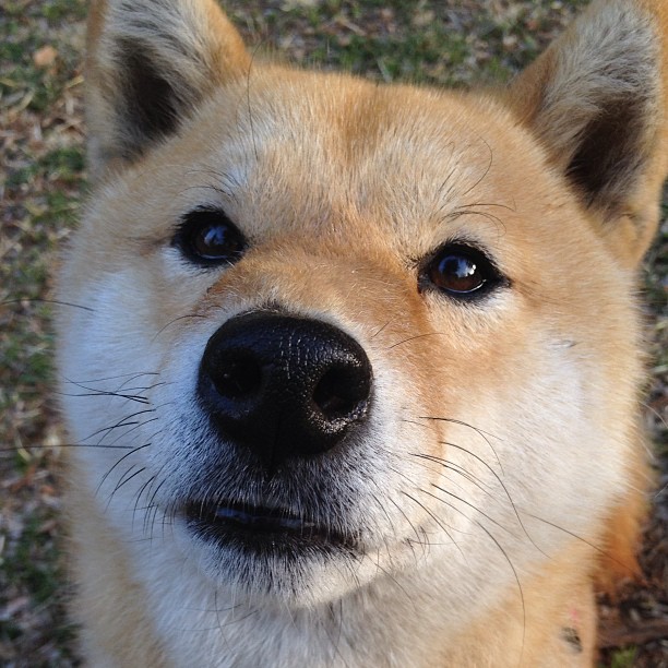 女子国家队引进柔韧性课程提升身体灵活性,国家队柔道运动员