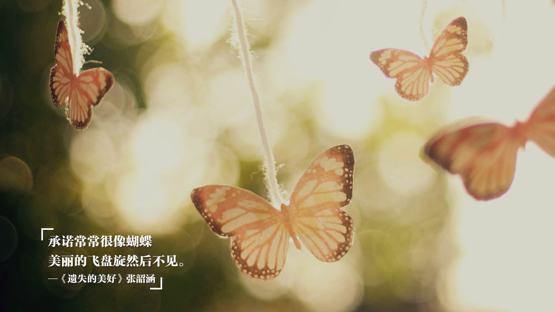 帕利斯特女子自由泳项目冉冉升起新星，帕特里斯