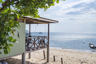 -绿色场馆覆盖智能环保系统，推动全球体育绿色低碳行动，绿色场馆建设